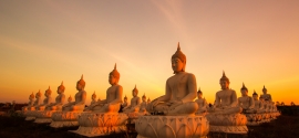 Why is Buddhism Dharma relevant to mental health?
